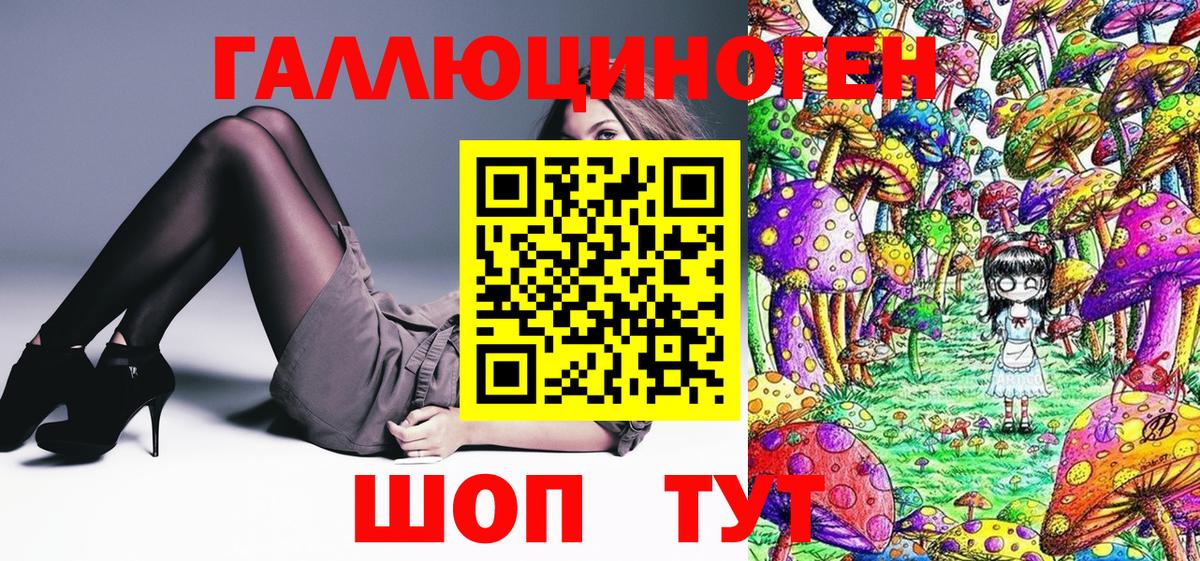 Гай  Псилоцибиновые грибы GOLDEN TEACHER  Вход с VPN  Галлюциногенные грибы прущие грибы 