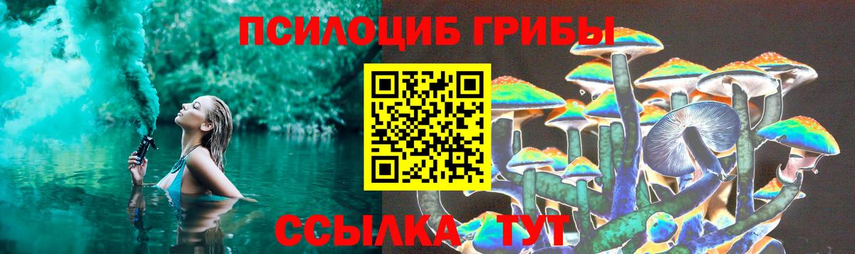 Галлюциногенные грибы ЛСД Гай