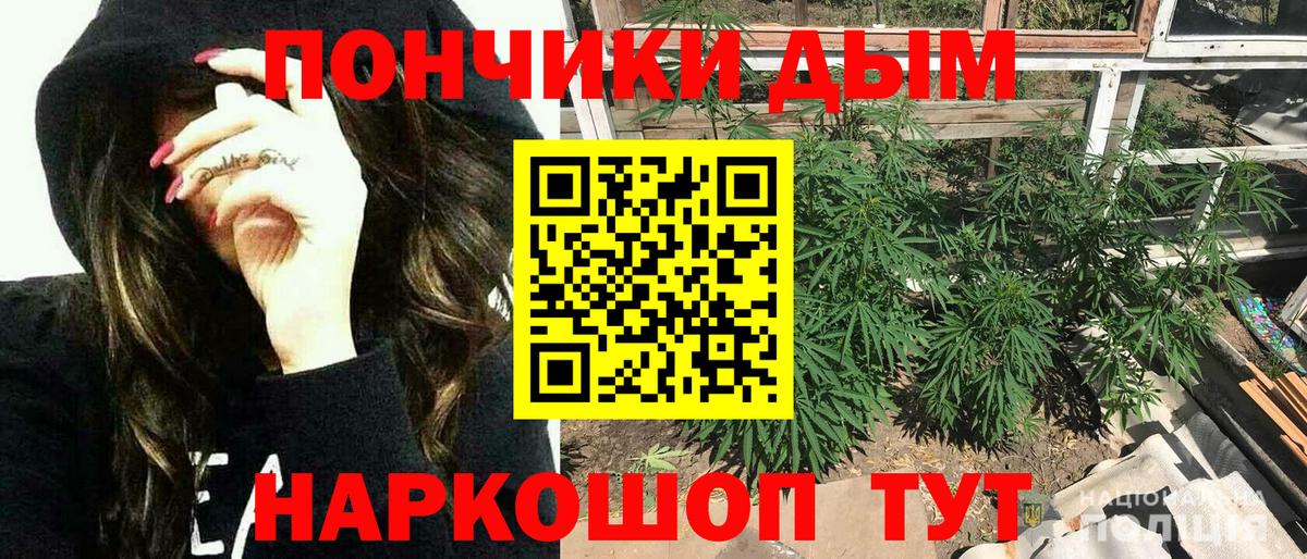 Гай  Марихуана план  Бошки марихуана VHQ  Вход с VPN  Канабис Amnesia 